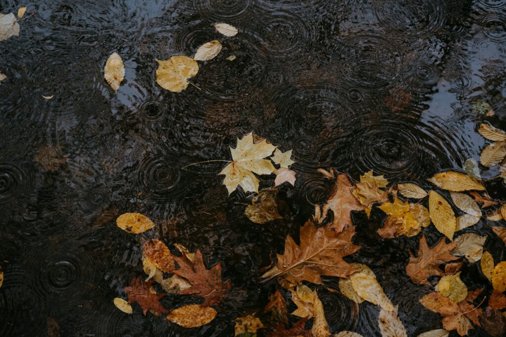 Menghidupi Musim Diri